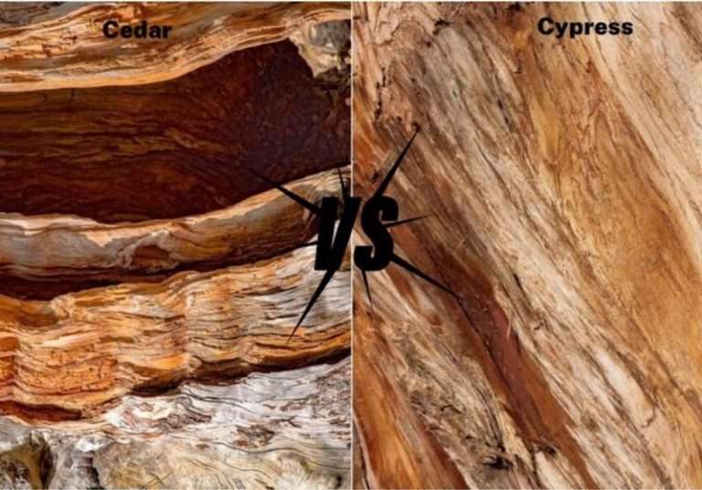 Cedar vs Cypress Mulch The Definitive Guide Mulch Universe