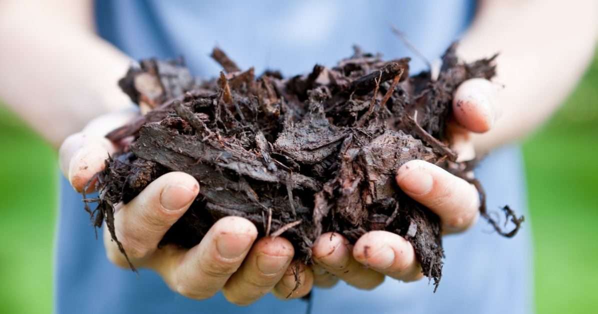 6 Ways To Use Old Mulch
