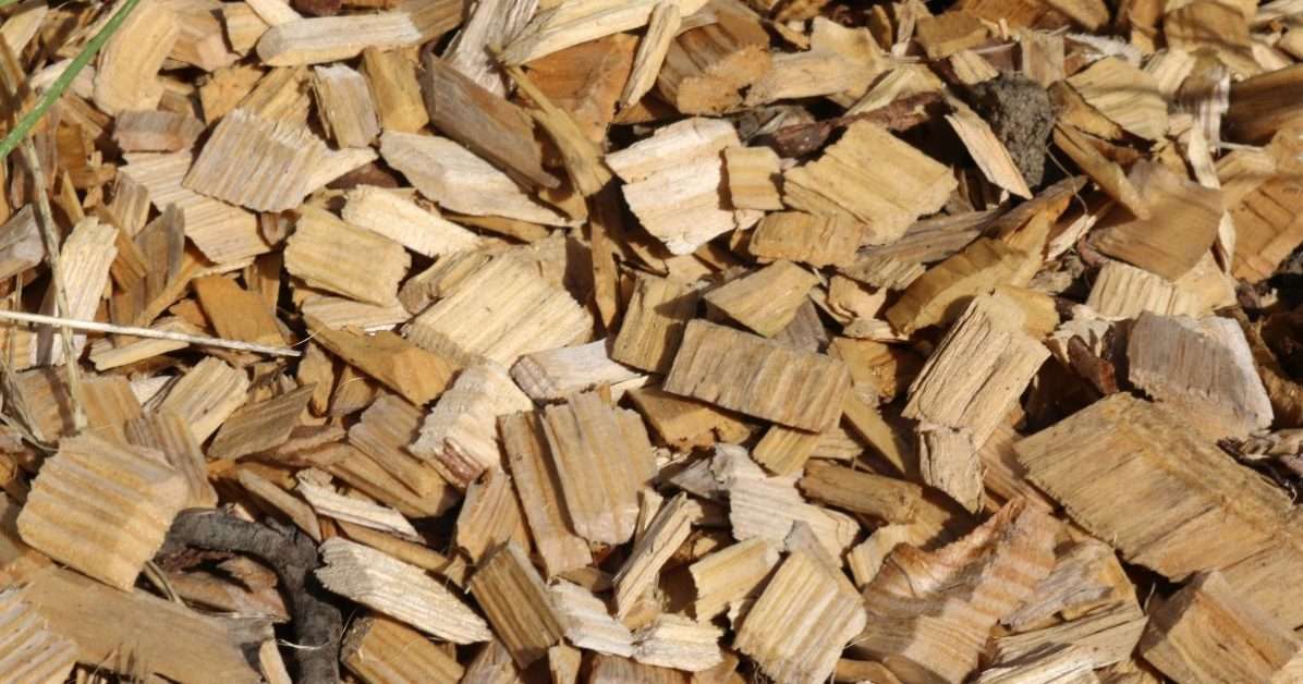 When Is The Best Time To Remove My Old Mulch