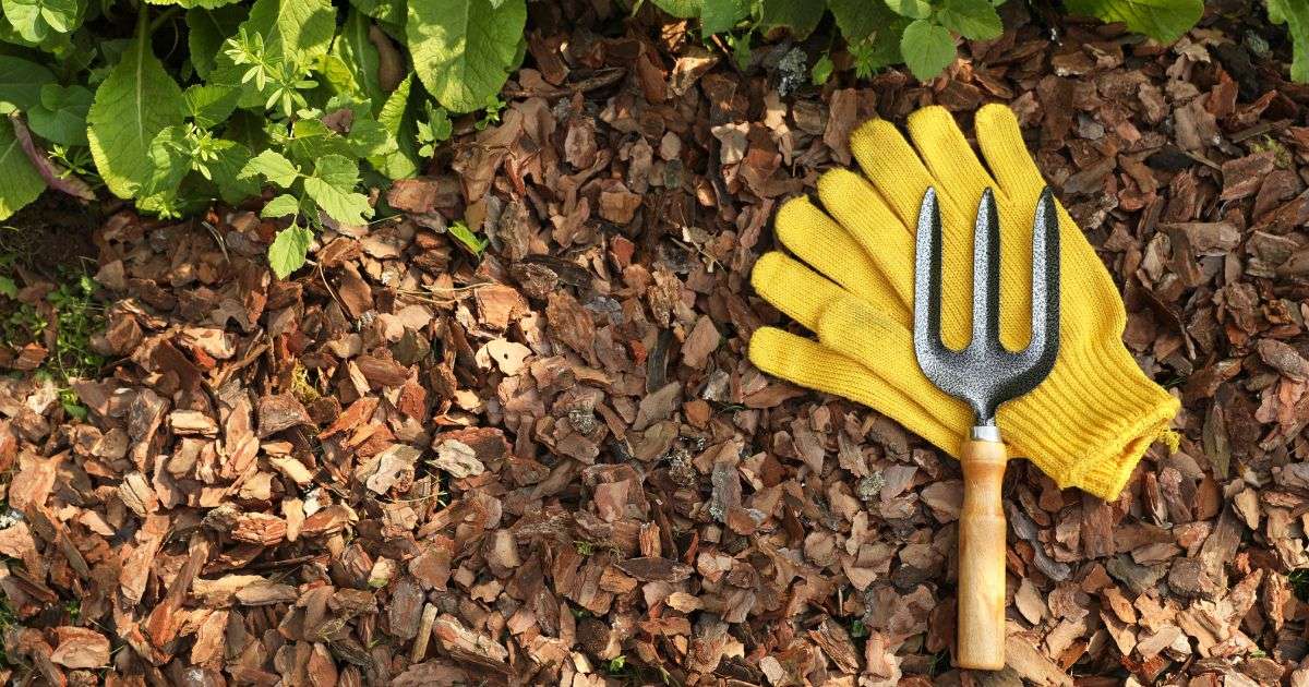 The Can, Why, And How Of Putting Mulch Over Grass | Mulch Universe